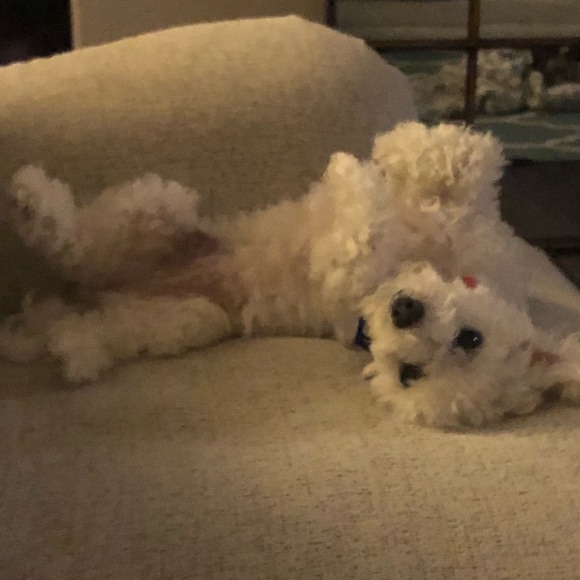 MAKE ME AN OFFER!!! ❤️👗👠 - Picture 4 of 4